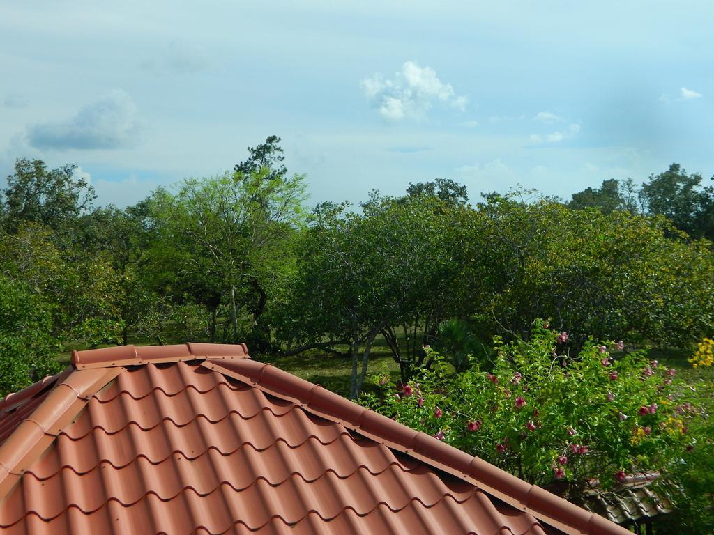 Becks Bed & Breakfast Crooked Tree Zewnętrze zdjęcie